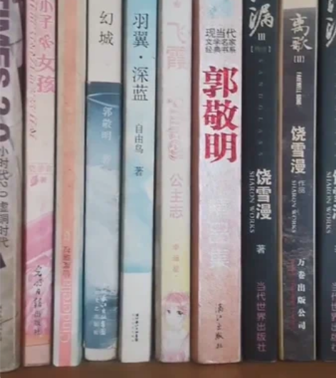 郭敬明小说 小时代 落落 饶雪漫小说 皮皮...