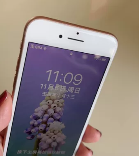 Apple/苹果 iPhone 8 Iph...