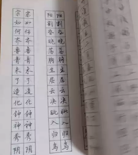 绝版稀有字帖，硬笔名家钢笔教材楷行内容都有...