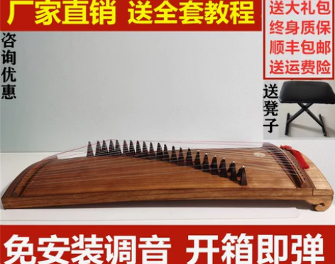 长颂挖筝21弦迷你古筝儿童初学者入门考级演...