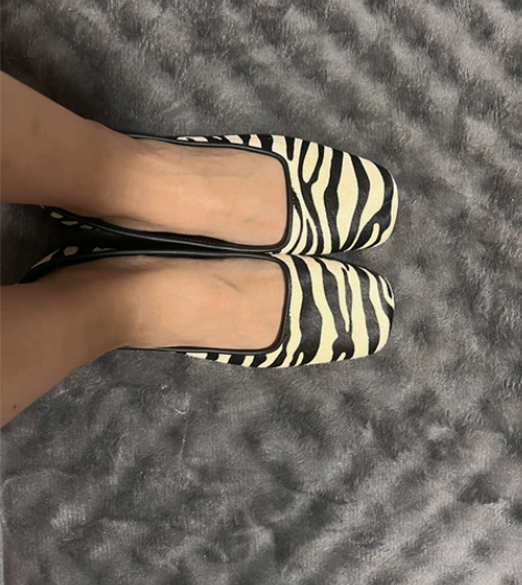 zara斑马单鞋，鞋子太多便宜转，全新仅试...