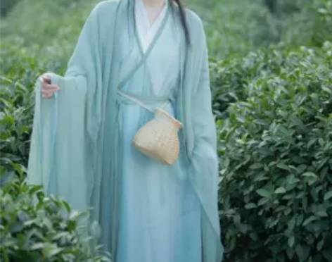 正品司南阁原创清平调子宋制汉服女款交领长衫...