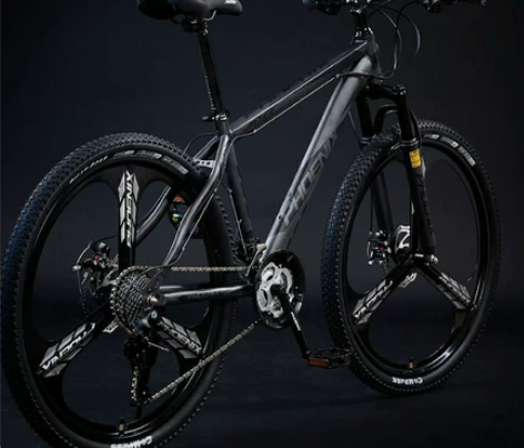 【实体店倒闭】凤凰旗舰店山地自行车男式越野...