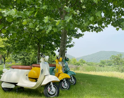 电动车罗马假日vespa网红电瓶车复古摩托...