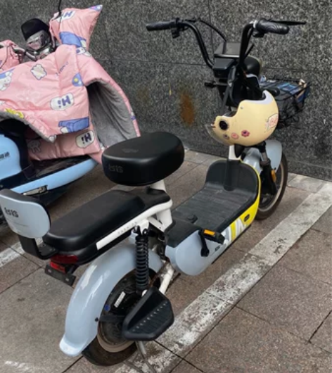 台铃电动车9成新   续航超久   电瓶可...