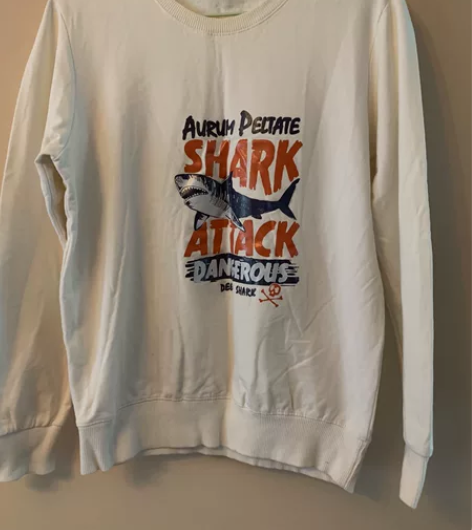 白色男士卫衣,纯棉,170/96A L码...