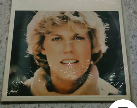 安妮 莫莉 乡村民谣 12寸lp黑胶唱片 ...