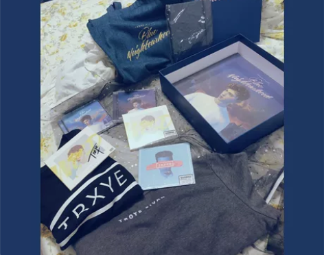 【部分出】各种欧美正版周边Troye Si...