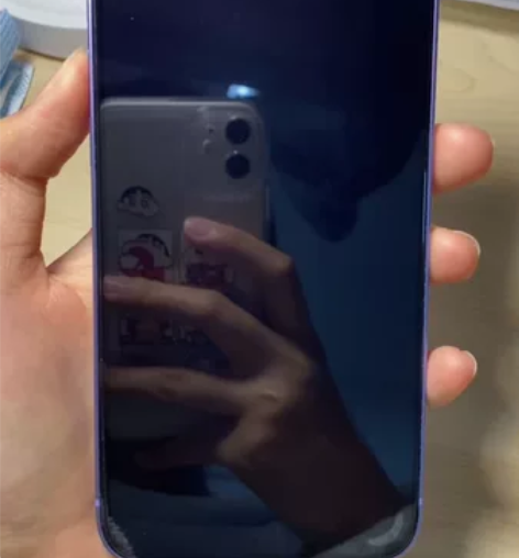 苹果12 紫 国行128 女生一手自用 成...