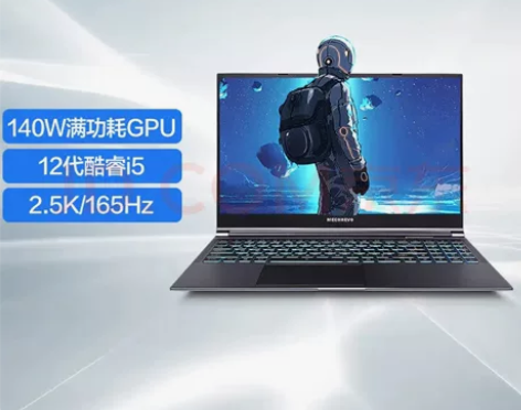 机械革命极光Pro 12代i5+满血306...