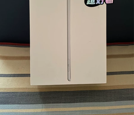 Apple/苹果 iPad mini5 2...