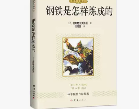 书籍小说正版书籍钢铁是怎样炼成的正版初中学...