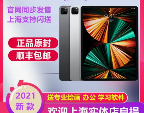 2021新款Apple/苹果 iPad P...