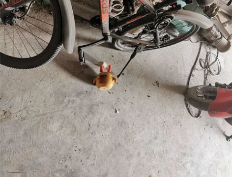 喜德盛黑客600，油碟自行车，两台车子可以...