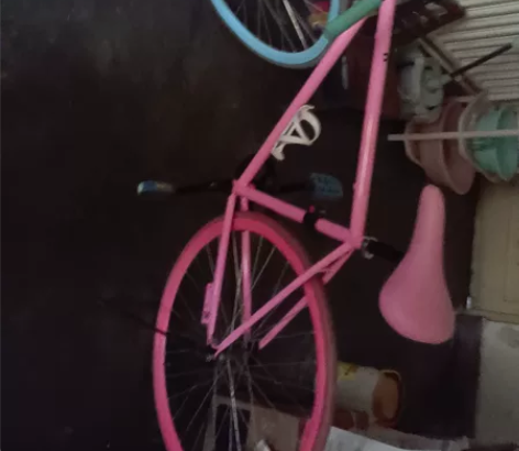洛维斯死飞自行车一辆，成色还可以，买来骑了...