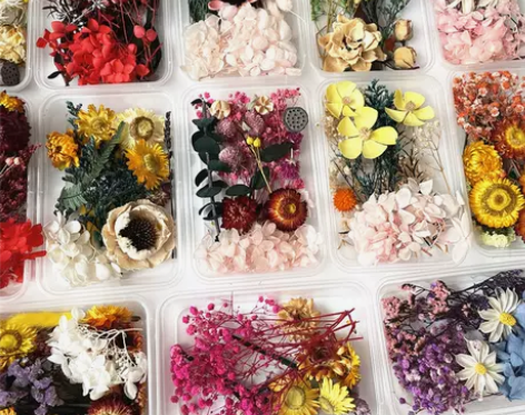 永生花干花材料包DIY相框贴画团扇浮游团建...