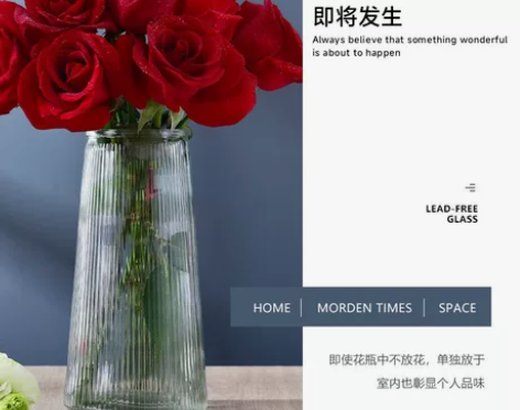 北欧浮雕玻璃花瓶客厅摆件鲜花干花插花水养水...