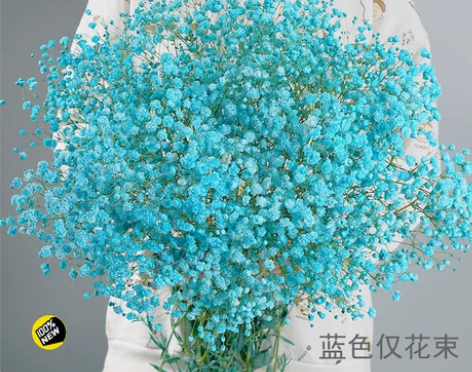 满天星大束干花送人插花超大束批发diy礼盒...