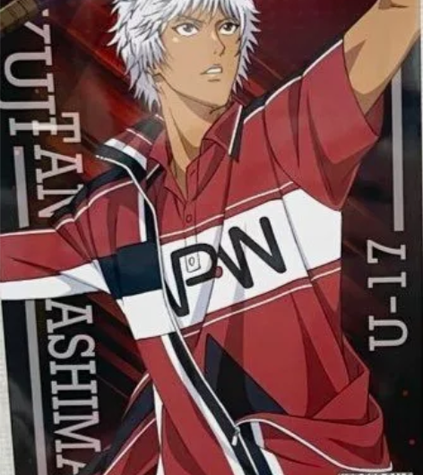 新网球王子种岛修二世界赛特典 国现，清复数...