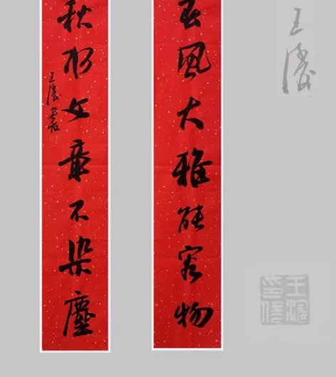 王涛 十二届十届九届国展获奖实力派书法...