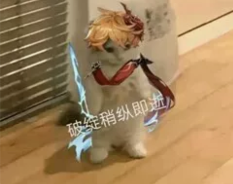 换或出！！！初兽猫家的香菱衣服m码，标价出...