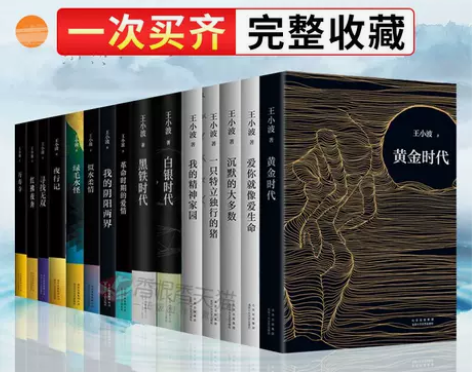 全集王小波的书全套共15册黄金时代特立独行...