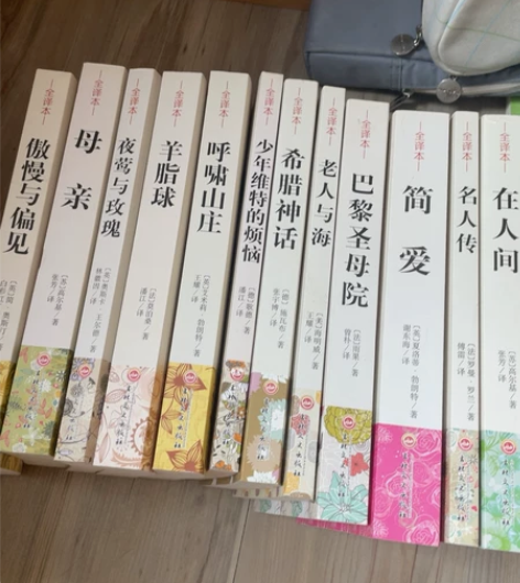 简爱 奥秘与偏见 呼啸山庄 巴黎圣母院  ...