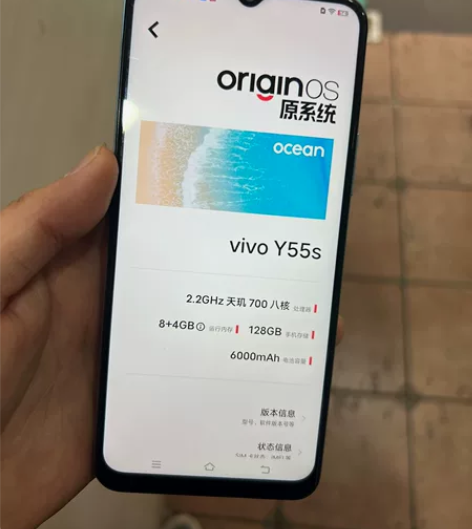vivo Y55s 感兴趣的话点“我想要”...