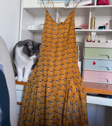 Bisichouse百家好吊带连衣裙155...