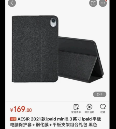 AESIR 2021款ipaid mini...