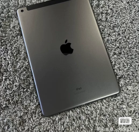 闲置出个人平板iPad2020 128g插...