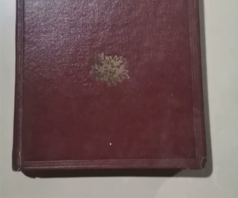 五十年代精美笔记本日记本美术日记（1959...