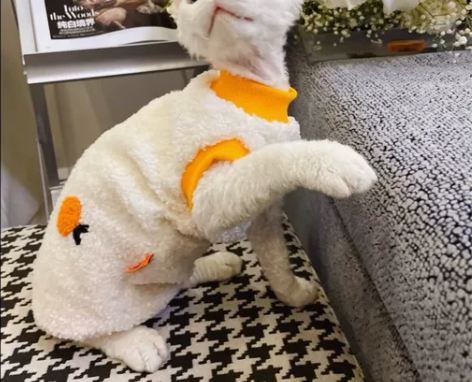 猫狗宠物服装纸样制版图，非纸质，共200款...