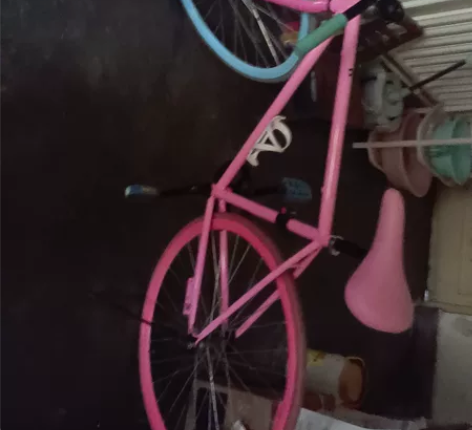 洛维斯死飞自行车一辆，成色还可以，买来骑了...