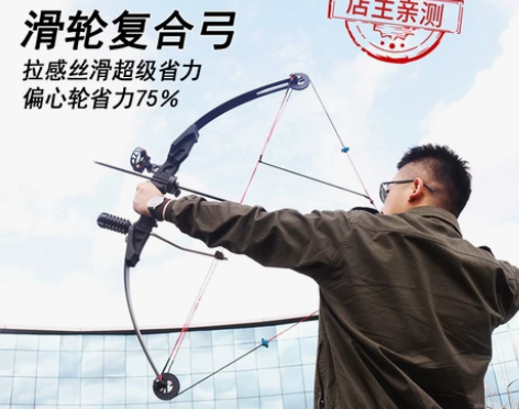 专业滑轮弓复合弓传统弓箭竞技弓打靶射击运