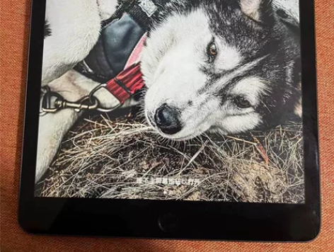 IPad 2019 10.2寸第7代 12...