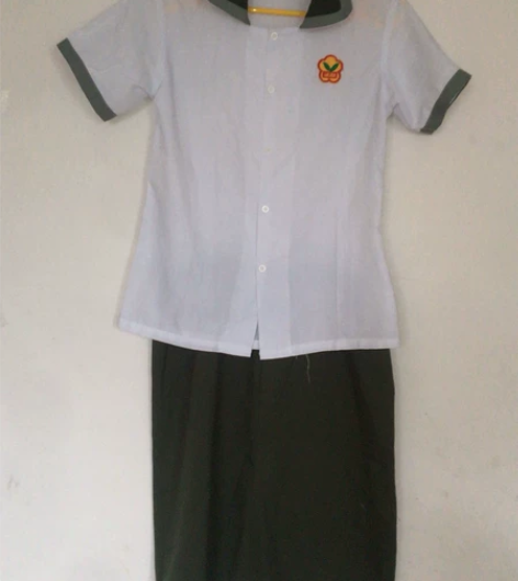 菏泽大市实验小学校服，小学生短袖上衣和短裙...