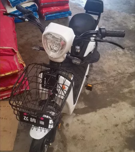 飞鸽新国标电动车成人电动自行车48V小型电...