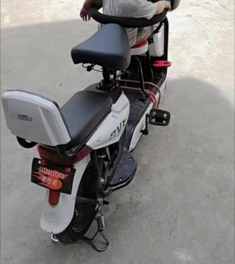 个人骑的电动车,电池新换的,续航杠杠的,成...