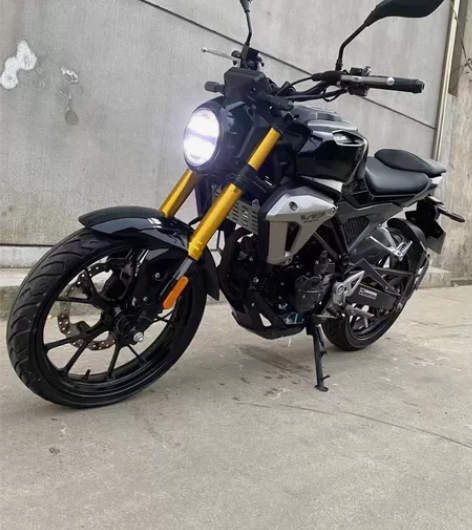 新到2020年9月国四电喷最新款迅龙V8大...