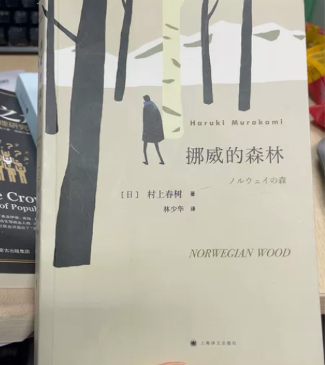 挪威的森林 感兴趣的话点“我想要”和我私聊...