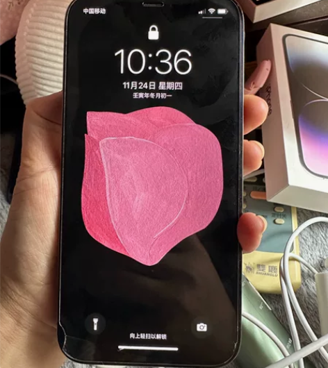 苹果12pro 当时刚刚出来的时候买的  ...