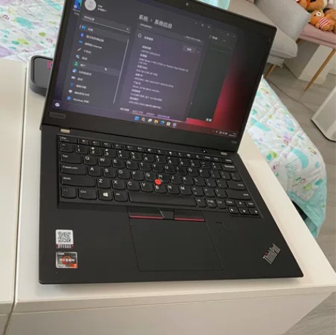 Thinkpad X395 99新  拆箱...