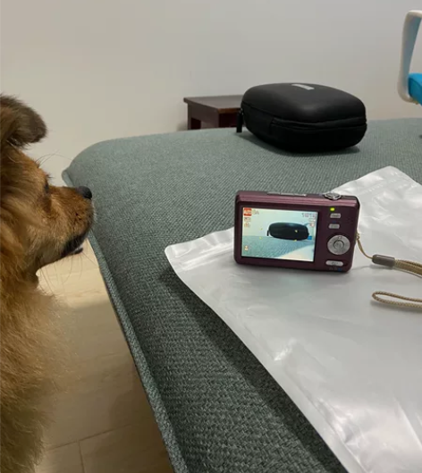 惠普 hp sw350数码相机 卡片机 全...