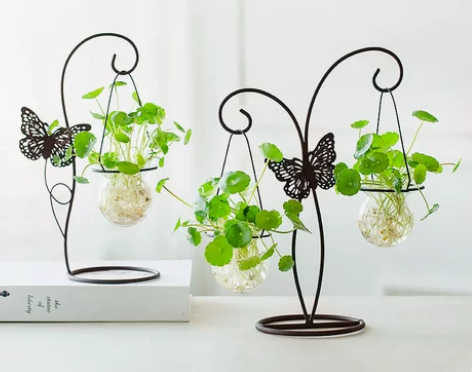 【新风尚价】创意小清新绿萝水培植物玻璃瓶铁...