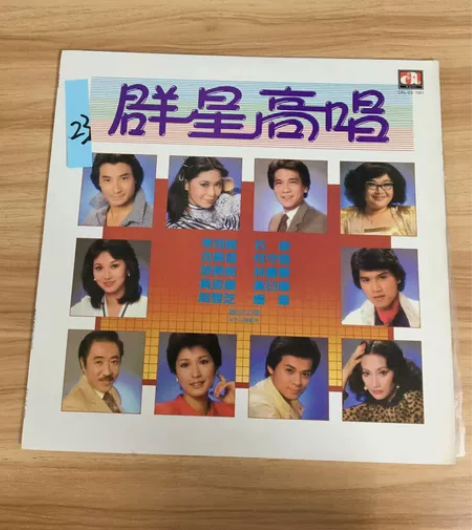 中国流行歌曲唱片，群星高唱黑胶唱片LP，明...