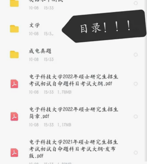 电科外国语言文学文学自用 非最新版无二外因...