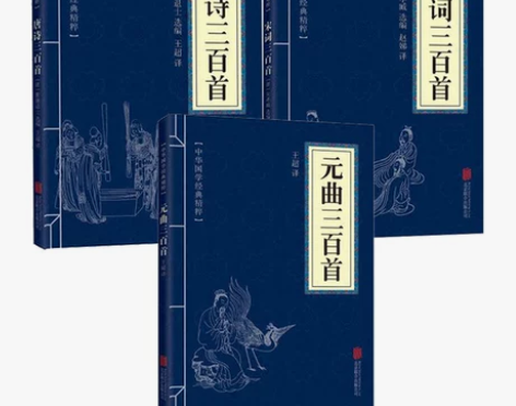 共3本  可直接拍 唐诗三百首+宋词三百首...