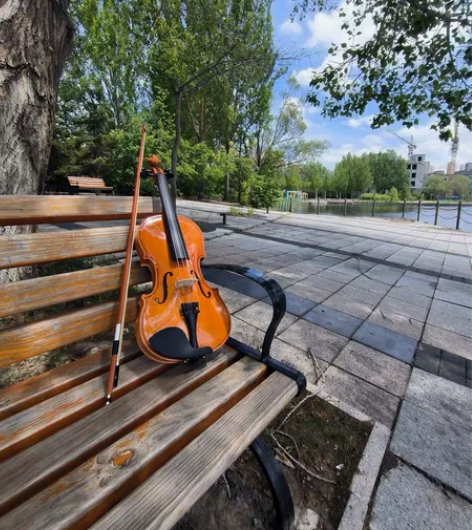 转让个人原价3500入手的4/4小提琴，买...