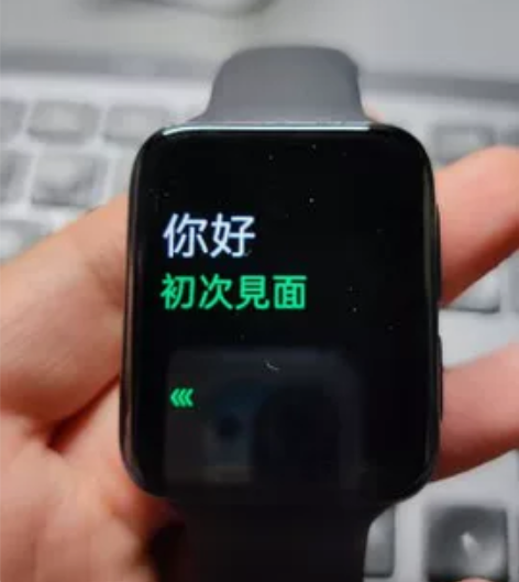 【JD直发】OPPO Watch 2 42...